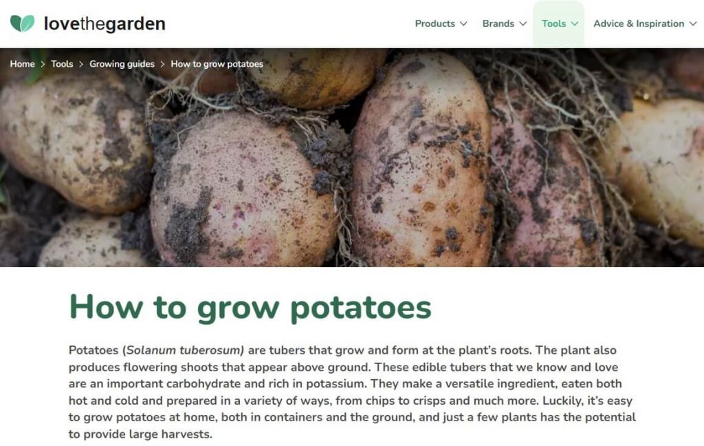 jak uprawiać ziemniaki blog